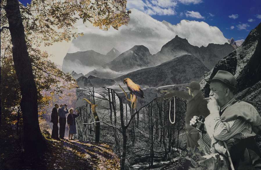 Ruth Habermehl | Revier II, 2006, C-Print