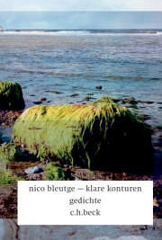 Nico Bleutge | Klare Konturen